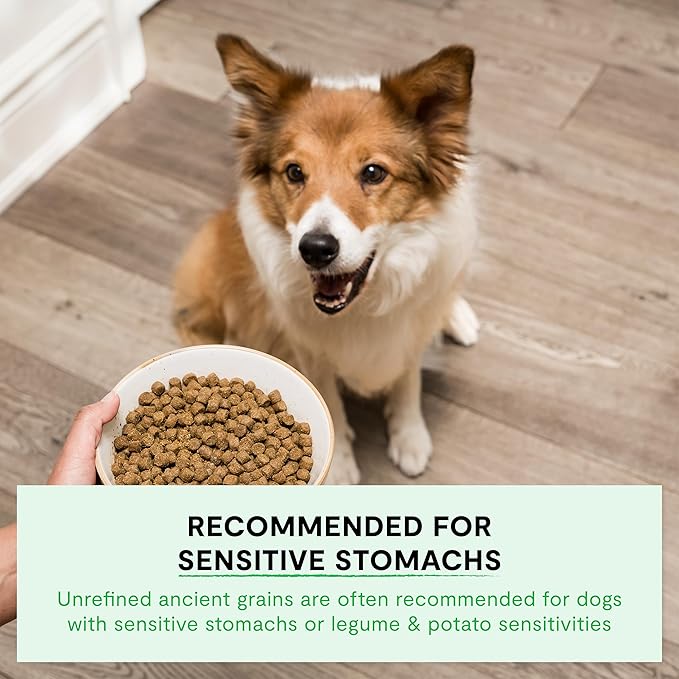 Open Farm, Ancient Grains Dry Dog Food, Protein-Rich & Nutrient Dense, 90% Animal Protein Mixed with Non-GMO Fruits, Veggies and Superfoods, Catch-of-the-Season Whitefish Recipe, 22lb Bag