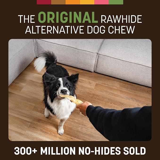 Earth Animal No Hide Strips - Natural Rawhide Free Dog Chew Strips, Pork - 16 Count