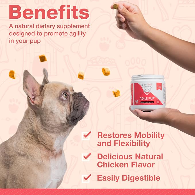Arthritis Dog Joint Chews| Glucosamine, Chondroitin, Omega-3| MSM Support for Healthy Joints| 120ct Veterinarian Formulated Soft Chews| Up to 4-Month Supply