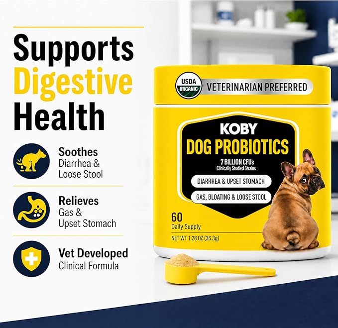 Koby Dog Probiotic Powder, 7B CFU with 8 Strains for Diarrhea, Sensitive Stomach & Gut Health, USDA Organic, Vet Developed, Bone Broth, 60 Scoops