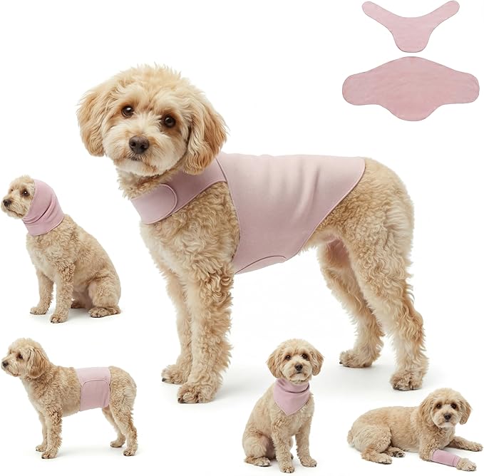 DAJIDALI® Dog & Cat Anxiety Vest & Spay Recovery Suit – Silent Adjustable Calming Wrap for Surgery & Thunderstorms – 2-Piece Cone & Recovery Onesie Alternative