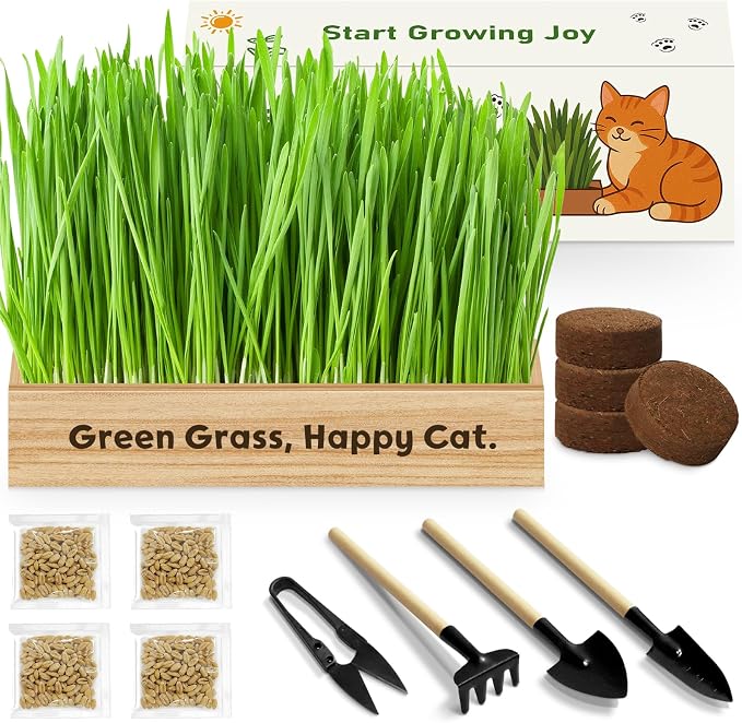 LUOJIBIE Cat Grass Kit for Indoor Cats, Cat Grass Seeds Set, Non-GMO Wheat Grass, Mothers Day Gifts for Mom, Unique Christmas Birthday Gifts for Women Men Girl, House Warming Gifts for Cat Lover