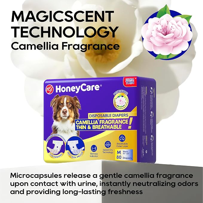HONEY CARE Petrichor Female Dog Diaper, Camellia Fragrance, Emits Fresh Scent While Absorbing Urine, Thin & Breathable, 2 Fashion Designs in 1 Package, M, 80 Count