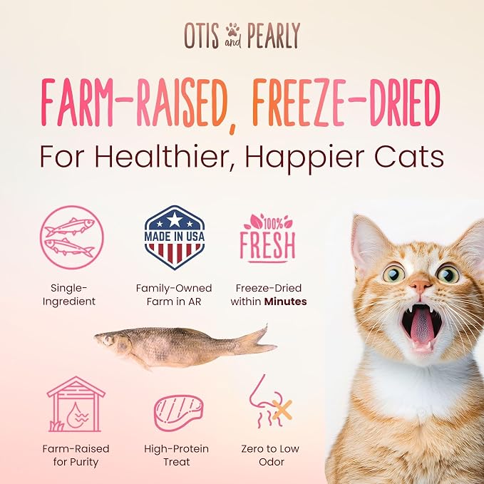 Otis & Pearly Freeze Dried Minnows for Cats - Pure, Single Ingredient Cat Treat, Whole Rosy Red Minnows, Made in USA - Healthy Protein for Small, Medium, Large Breeds (4 oz)