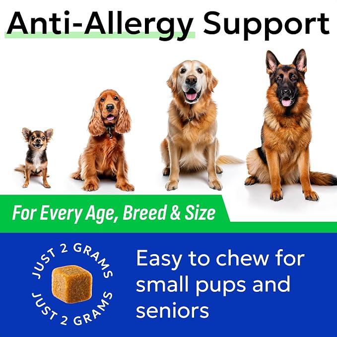 BARK&SPARK Dog Allergy Relief Soft Chews for Skin Health & Seasonal Allergies - Anti-Itch Supplement w/Omega-3, Quercetin & Bromelain Immune Treats for Dry Skin & Hot Spots - BBQ Chicken - 60ct