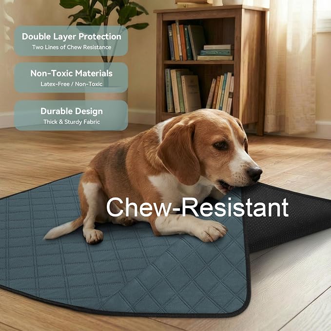 Siedihit Washable Reusable Pet Pee Pads, Absorbent Non-Slip Training Mat for Dog Cat Rabbit Puppy Kitten, Whelping Playpen Crate Bed Cage Home Indoor Outdoor (Large - 2pack, Rectangle)