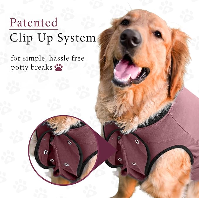 BellyGuard Dog Surgery Recovery Suit, Post-Op Dog Recovery Suit for Female Spay & Male Neuter, Comfy Onesie for Pets, Surgical Body Cover for Canine Healing Support