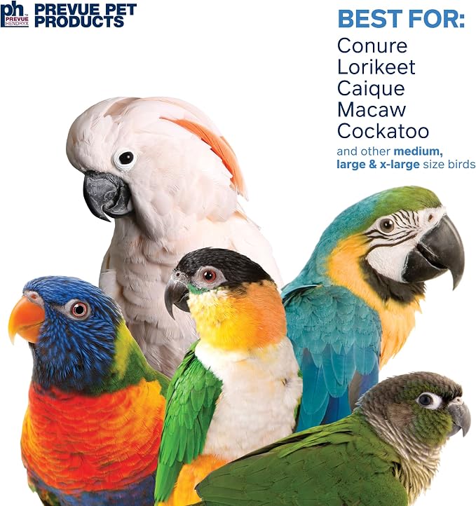Prevue Pet Products Preen & Pacify Calypso Creations Dagwood Bird Toy - Accessories for Medium to Large Birds, Hanging Birdcage Accessory for Shredding, Pulling, Pecking, and Interactive Engagement