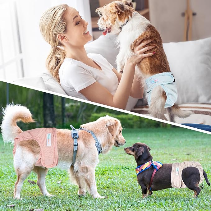 Langsprit Washable Female Dog Diapers - Doggie Reusable Diapers for Doggy Puppy Female in Period - Highly Absorbent Dog Heat Panties Morandi-LFH XXL