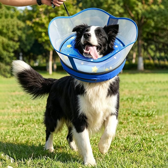 Dog Donut Collar, Inflatable Dog Cone Collar for Dogs to Stop Licking (RoyalBlue, XXL)