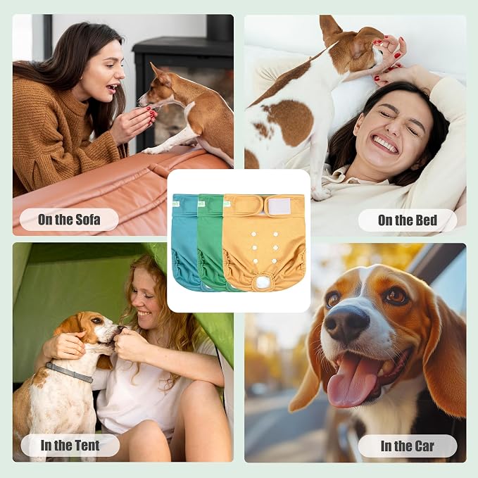 wegreeco Washable Dog Diapers (3 Pack), Highly Absorbent Dog Diapers Female for Doggie Puppy in Heat, Period, Incontinence, or Excitable (Blue Green Yellow, Large)