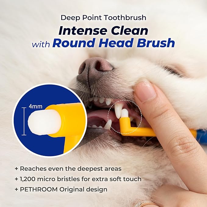 PETHROOM Dog & Cat Dental Kit for Deep Cleaning – Enzymatic Toothpaste & Precision Toothbrush (Rounded Head), Plaque & Tartar Control, EWG Verified, Fresh Breath, Apple Flavor, 2.1 oz