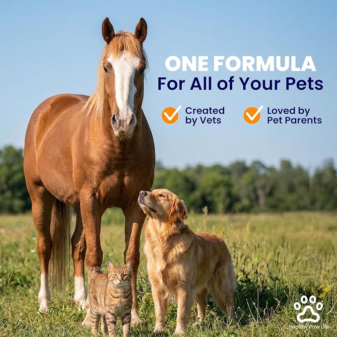 Healthy Paw Life Oatmeal Dog Shampoo for Dry Itchy Skin Relief - 1 Gallon Bulk Pet Wash for Dogs, Cats & Horses - Soothing Colloidal Oatmeal Formula for Sensitive Skin & Coat Care