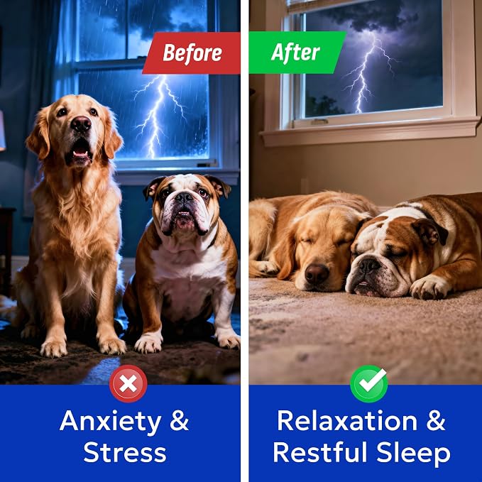 (MAX Strength) Calming Melatonin for Dogs to Sleep & Anxiety Aid - Calming Chews for Stress Anxiety Relief - Medium & Small Breeds - 6mg Doggie Sleeping Pills - 120 Treats