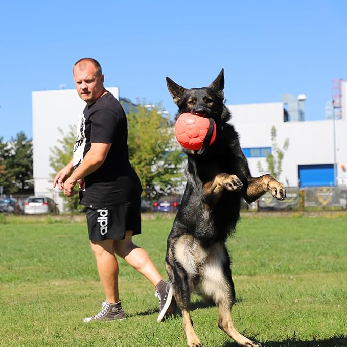 DINGO GEAR WWW.DINGOGEAR.COM 1977 Faux Leather Ball for Dog Training, as Reward for Fetch tug of war, for Strong Dog, Handmade, 7in Orange S02698