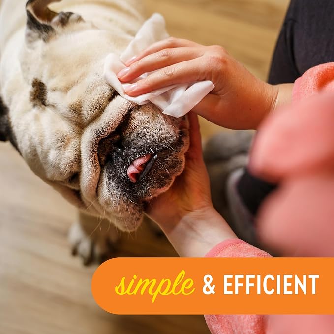 Dogtopia Blueberry Facial Cleansing Wash for Dogs (16oz) and Facial Wipes (60ct) Combo | Gently Remove Tear Stains | Remove Saliva Stains | Brighten and Whiten Coat | Daily Tear Stain Wipes