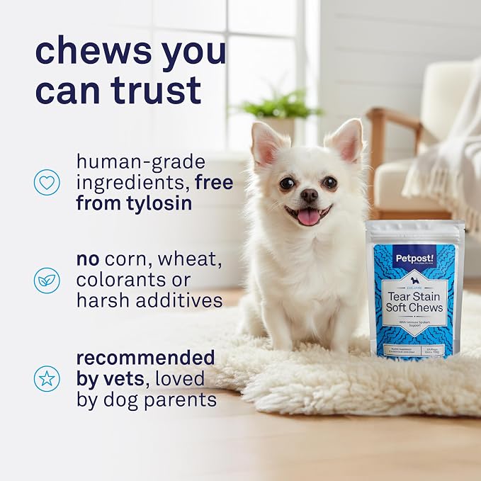 Petpost Tear Stain Remover Soft Chews for Dogs | 90 Count Cheese Flavor Dog Tear Stain Support Supplement | Gentle Eye Care for White Dogs & Light Breeds | Tylosin Free, Made in USA