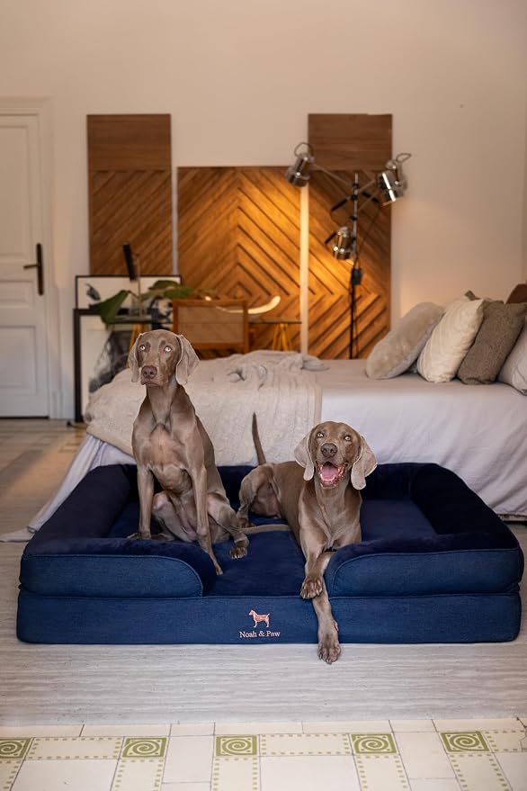 NOAH & PAW Giant Dog Bed XXL, 55x45x11 Inch, Orthopedic Dog Beds, Eggshell Memory Foam Infused with Cooling Gel, Inner Cover, Water Resistant, Machine Washable (Denim Sofa Collection)