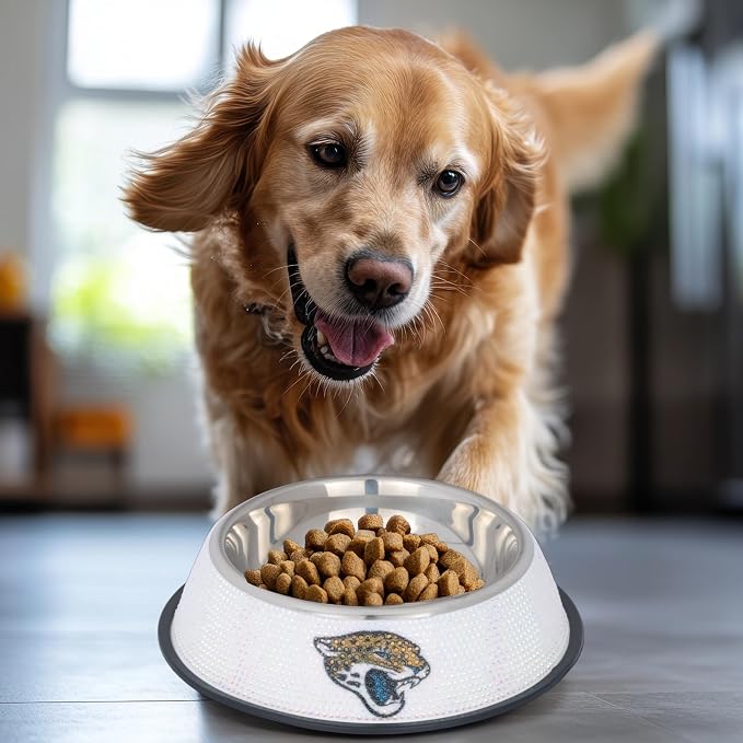 The Memory Company Officially Licensed Stainless Steel Pet Bowl, Premium Bling Team Logo Dog & Cat Food & Water Dish, Non-Slip Rubber Base, for Large/Small Breeds