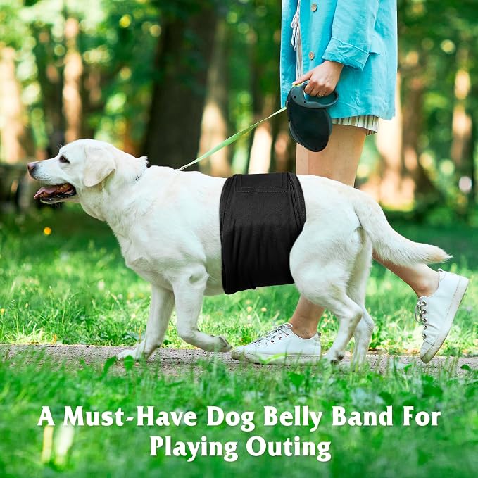 5 Pack Dog Diapers Male Reusable, Premium Belly Bands for Male Dogs, High Absorbing Male Dog Pee Wraps for Doggie in Incontinence or Excitable Urination and Training,Light Gray,S