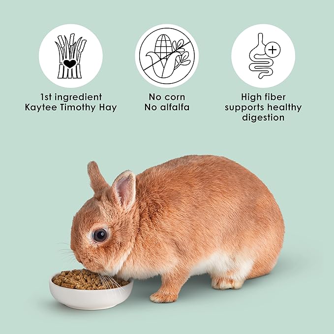 Kaytee Timothy Complete Rabbit Food, Made with Timothy Hay, High in Fiber, Supports Dental Health and Digestion, 4.5 pounds