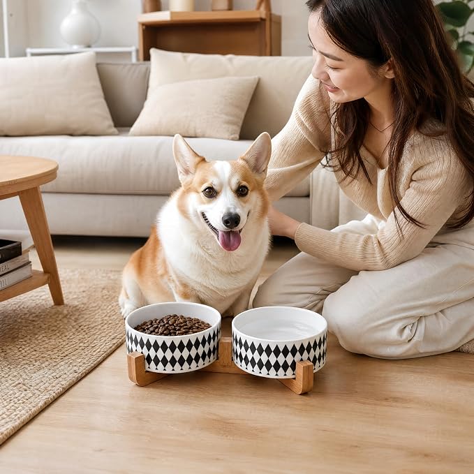 Petygooing Ceramic Dog Cat Bowl Set with Stand,Pet Food and Water Bowl,Small Dog Bowls Anti -Slip Set of 2 Cat Dishes Food Bowls Dish Small Size Pet (13.5OZ/5.1 in) Black Rhombus