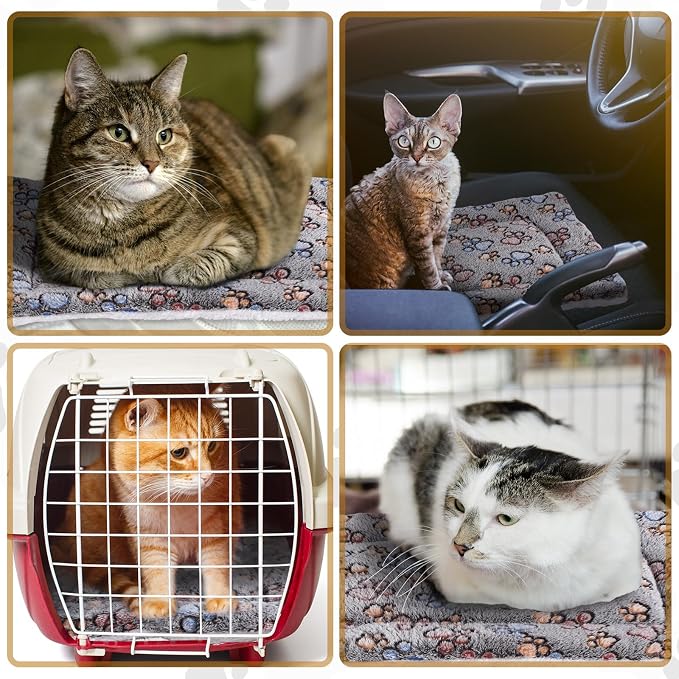 Tuanse 4 Pack Ultra Soft Dog Cat Bed Mat Small Animal Guinea Pig Bed with Cute Print Reversible Fleece Dog Crate Kennel Pad Cozy Washable Thickened Hamster Pet Beds Mat(13 x 19 Inches,Gray)