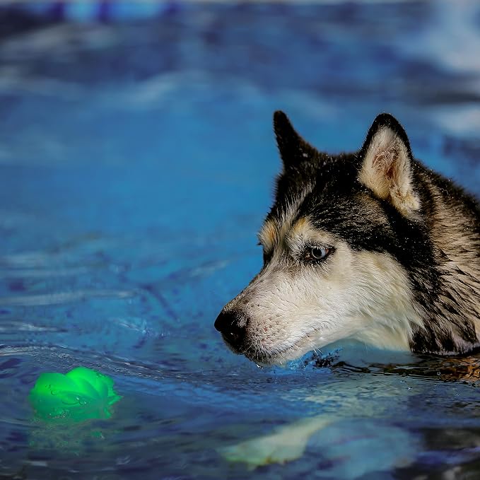Nite Ize GlowStreak Wild LED Ball, Bouncy Motion Activated Light Up Dog Ball for High Energy Dogs, Disc-O