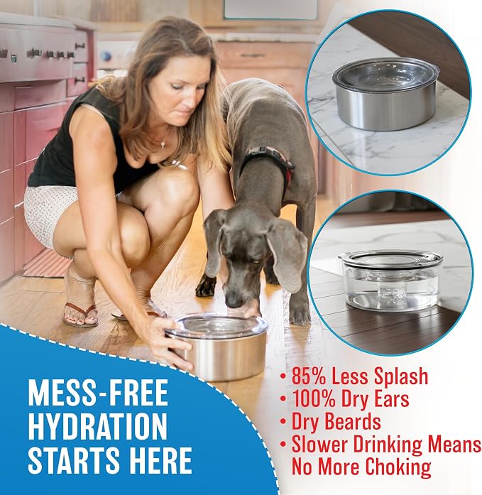 Slopper Stopper Stainless Steel Dripless Water Bowl with Tritan Plastic Lid – Holds 1 Gal, Reduces Spills & Trails Up to 85%+, Water Bowl for Small Breed Dogs (0-20 lbs), The Original Slobber Stopper