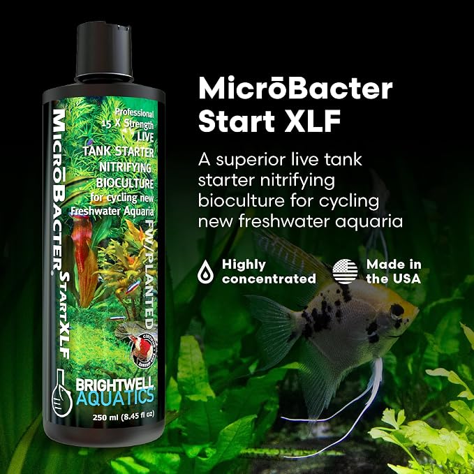 Brightwell Aquatics MicroBacter Start XLF Freshwater Tank Starter, 250 ml
