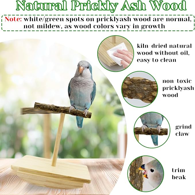 Natural Wood Bird Perch Stand & Large Bird Swing with Chew Toys, Intelligence Puzzle Platform and 3 Sisal-Wrapped Perches for Conure Cockatiel