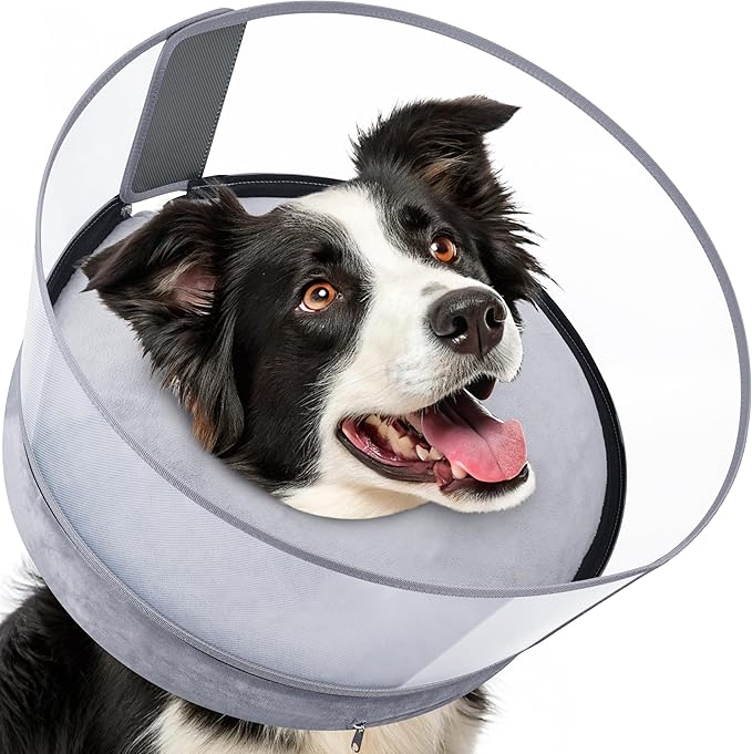 BARKLESS Dog Donut Collar, 2-in-1 Inflatable Dog Collars for After Surgery to Stop Licking Wounds, Patented Protective Donut Cone with High Shield for Large Pets (Grey, L)