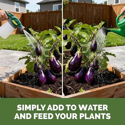 Fish Fertilizer – Liquid Fish Supplement for Lush Growth, Deep Green Leaves & Strong Roots, 1 Gallon