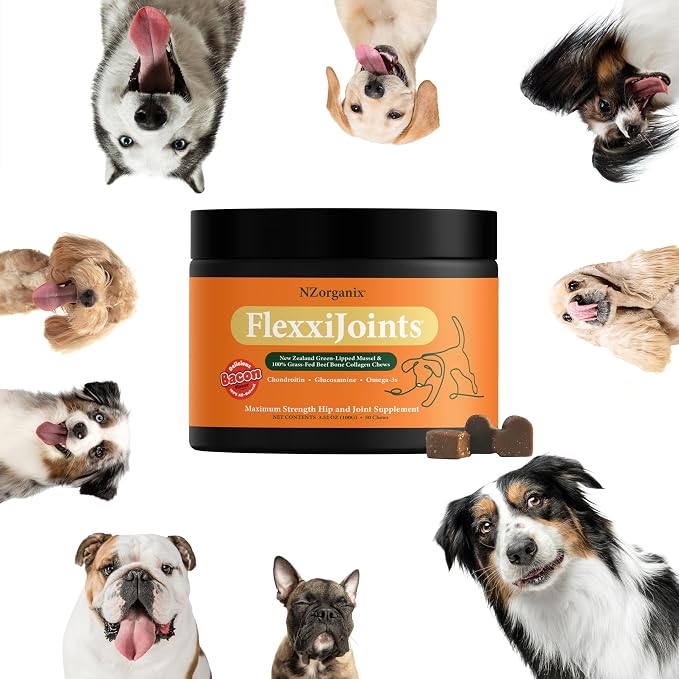 NZorganix FlexxiJoints 100% New Zealand Green-Lipped Mussel Powder, Hip & Joint Support Formula for Dogs & Cats, with Glucosamine, Chondroitin 200g (600 Servings)