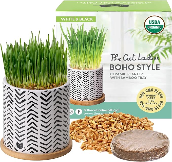 The Cat Ladies Organic Cat Grass for Indoor Cats - Growing Kit with Organic Seed Mix, Soil and Boho Planter with Bamboo Tray. Natural Hairball Control and Digestion Remedy, Cat Gifts