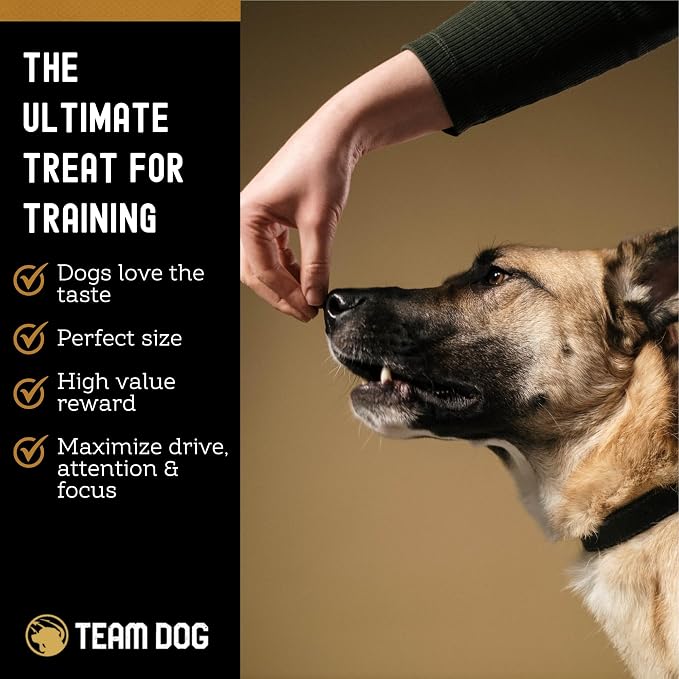 Team Dog Lamb & Salmon Dog Freeze-Dried Raw Treats | Soft Dog Treats & Grain Free Dog Food Topper | USA-Sourced Salmon & Lamb for Cleaner Teeth, Digestive Health & Muscle Growth | 13 oz Bulk Size