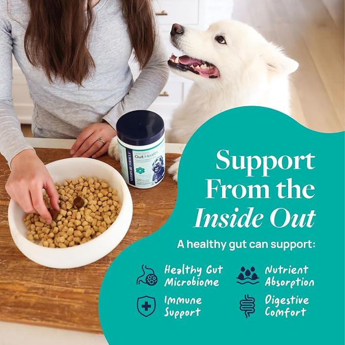Veterinary Formula Gut Health Supplement for Dogs – Vet-Formulated Probiotic Chews with Digestive Enzymes & Fiber – Smart Vitality Support Digestive Health, Gut Balance & Stool Quality, 120 Soft Chews