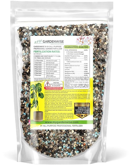 Gardenwise 6-6-6 All-Purpose Professional Plant Food Fertilizer; Ideal for Winter Care & Spring Feeding, Perfect Balanced NPK for Indoor and Outdoor Plants (3 QUARTS)