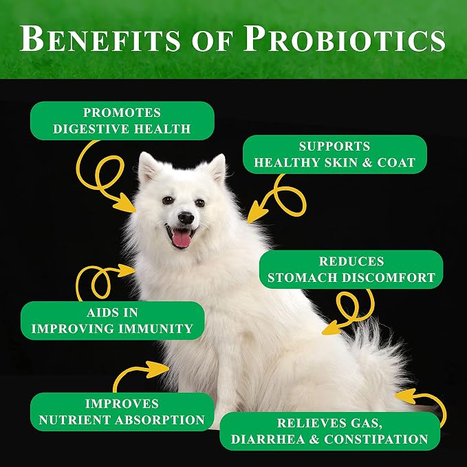Probiotic Soft Chews for Dogs – 180 Count (2 x 90ct) – Digestive & Immune Support with 9 Probiotics, 8 Enzymes, 2 Prebiotics & 5 Vital Nutrients – Chicken Flavor