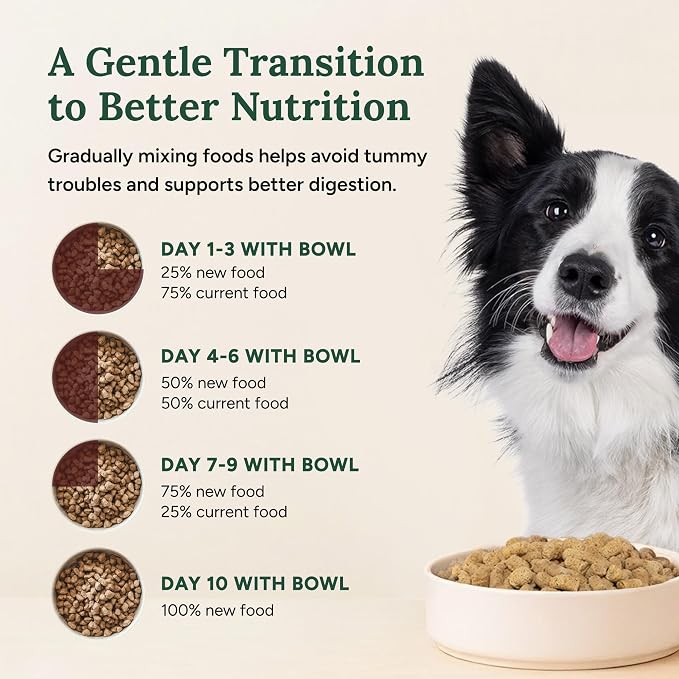 360 Pet Nutrition Freeze-Dried Raw Dog Food – Beef Recipe with Liver & Organs, High Protein with Omega-3s, Fruits, Veggies & Superfoods, Grain-Free, No Filler 2 x 48 oz – Made in USA