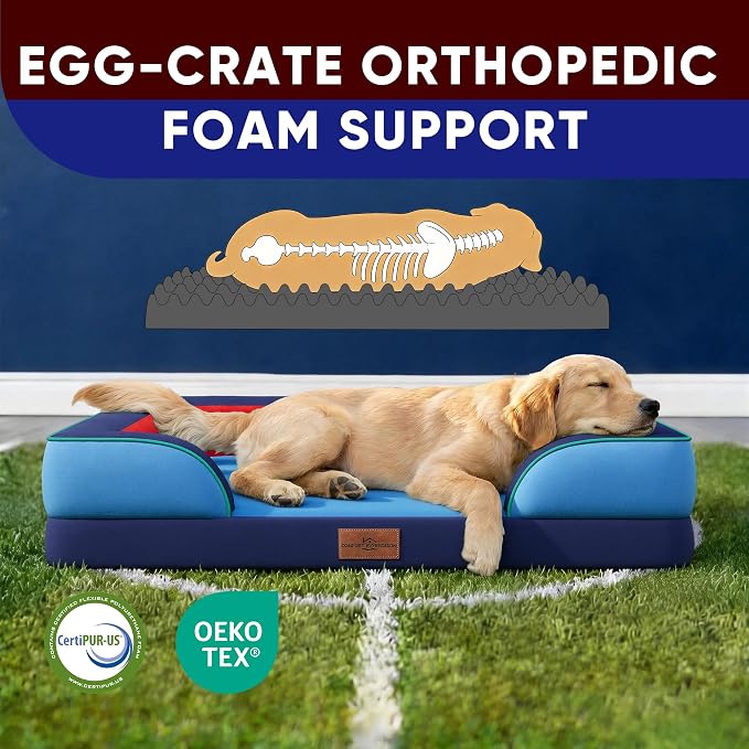 Comfort Expression Orthopedic Dog Bed for Large Dogs 36x27 Inch, Waterproof Egg Crate Foam Large Pet Bed with Bolsters, Dog Couch with Washable Cover & Non-Slip Bottom, Philadelphia