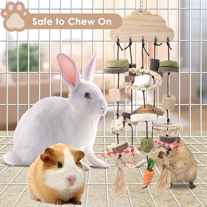 Bissap 3 PCS Rabbit Chew Toy, Bunny Cage Hanging Chew Toys Treats Rattan Ring with Snacks Water Grass Wooden Block Carrot for Guinea Pigs Chinchillas Hamsters Rats and Other Small Pets Teeth Grinding
