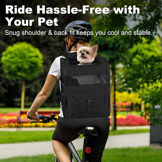 Dog Carrier Backpack for Small Dogs - Breathable Mesh Hiking Bag with Safety Buckle, Adjustable Straps and Elevated Pad - Durable for Hiking (Fits Small Cats Too, Up to 17lbs, Black)