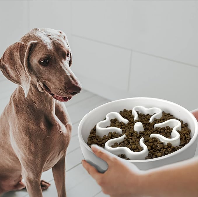 Slow Feeder,Ceramic-Slow Feeder Dog Bowls Elevated for Medium Breed,2.5 Cups Slow Feed Dog Bowl with Stand,Matte White