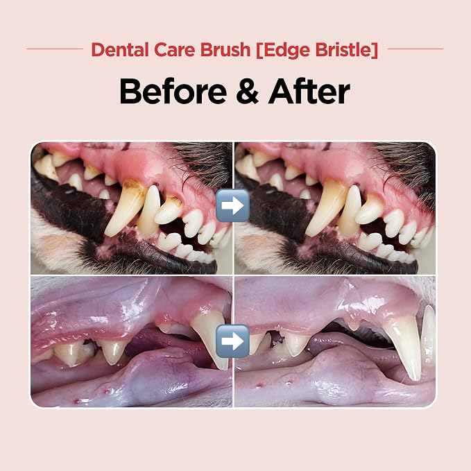 JAYU PET Dental Care Brush (Edge Bristles) 1ea - Micro Round Head Dog Toothbrush, Cat Toothbrush, Dental Care, Perfect for Kitten & Small Breed with End-tuft Diagonal-Shaped Bristle & Easy Grip Handle
