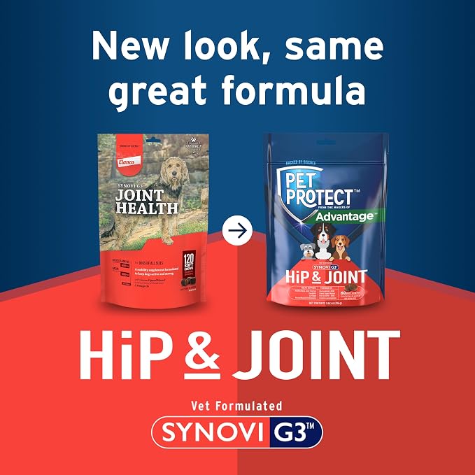 Pet Protect Dog Hip & Joint Supplement for Occasional Joint Stiffness, Vet-Formulated Synovi G3, Dog Glucosamine, Chicken-Flavored Soft Chews (60 Count)