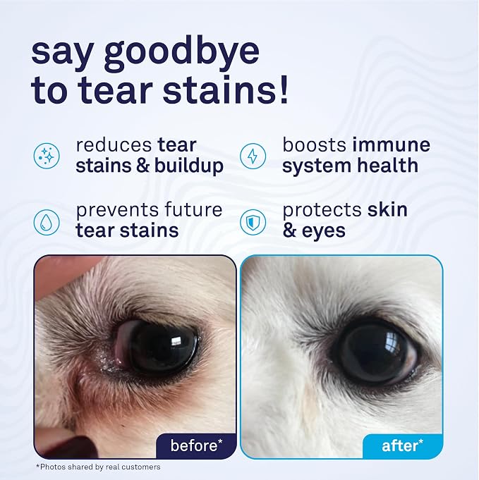 Petpost Tear Stain Remover Soft Chews for Dogs | 90 Count Chicken Flavor Dog Tear Stain Support Supplement | Gentle Eye Care for White Dogs & Light Breeds | Tylosin Free, Made in USA