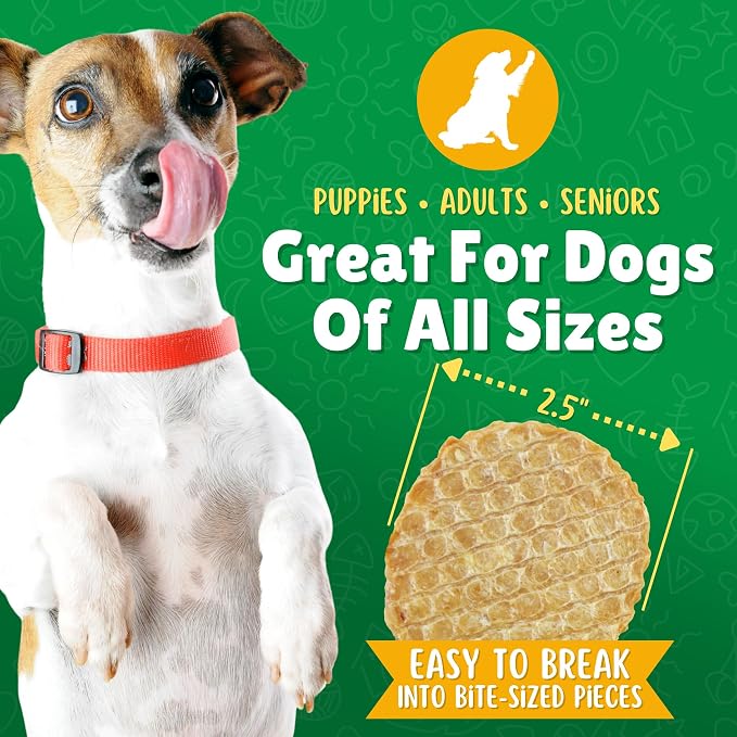 Lucky Premium Treats Chicken & Apple Lucky Chips for Dogs – Healthy Chicken Dog Treats Made in USA – 2 Ingredient Chicken Jerky Dog Treats – 12 oz Bag
