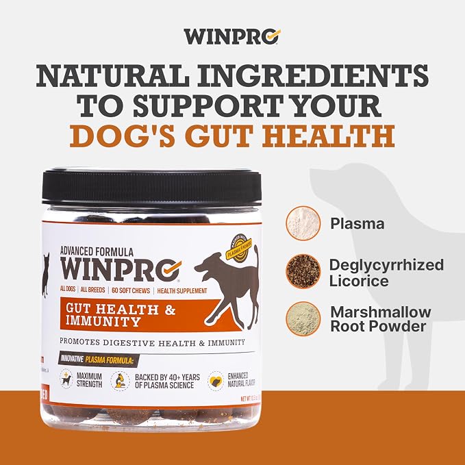 WINPRO Dog Gut Health Supplement – Plasma-Powered Soft Chews for Dog Immune Health Support & Gut Health, Made with Natural Ingredients for Dogs of All Breeds & Sizes - 60 Count