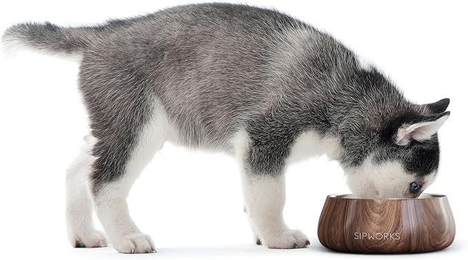Sipworks Stainless Steel Dog Bowl – 32oz Weighted Metal Food and Water Bowls for Dogs and Cats with Non-Slip Base - Pet Bowls for All Breeds Sizes for Travel & Outdoor Play | Bubblegum